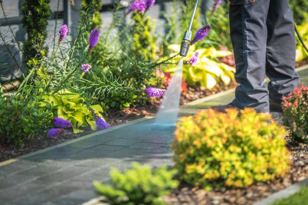 Best Pool Deck Cleaning  in Goshen, CA