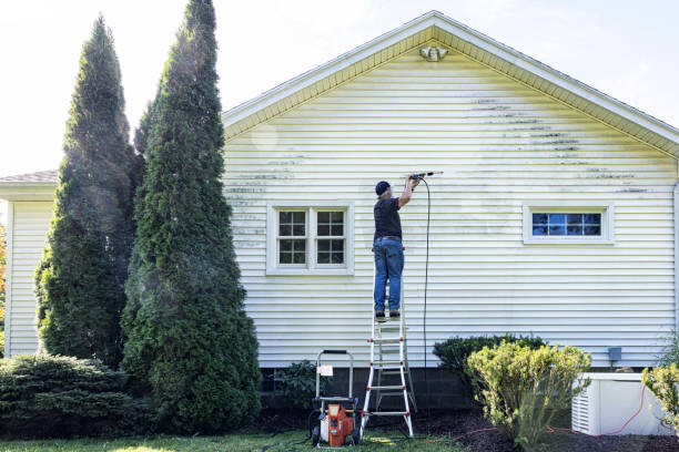 Best Roof Washing  in Goshen, CA
